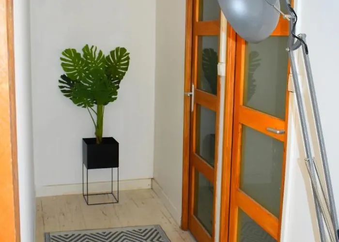 Apartment Cozy Proche Du Centre-ville